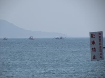 イルカウォッチング イルカウォッチング